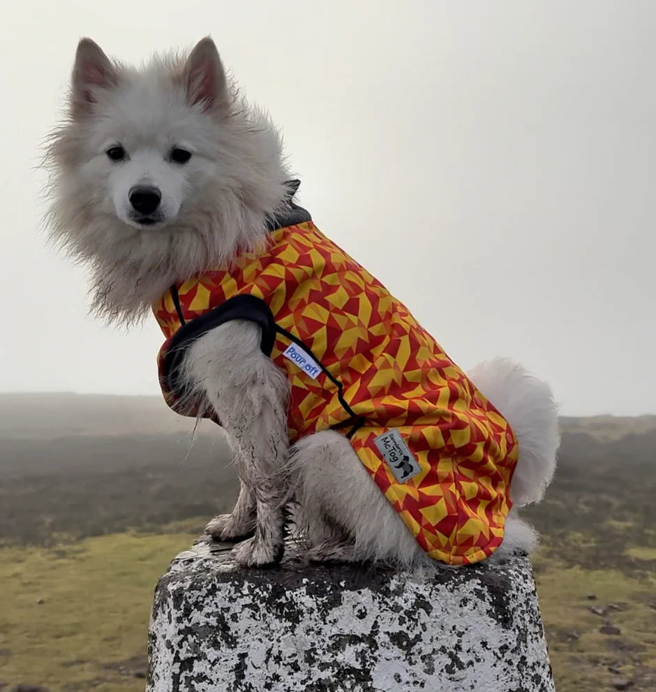 Glenndarcy Trailblazer McTog - Microfleece Waterproof Dog Jumper - Step In Poppers